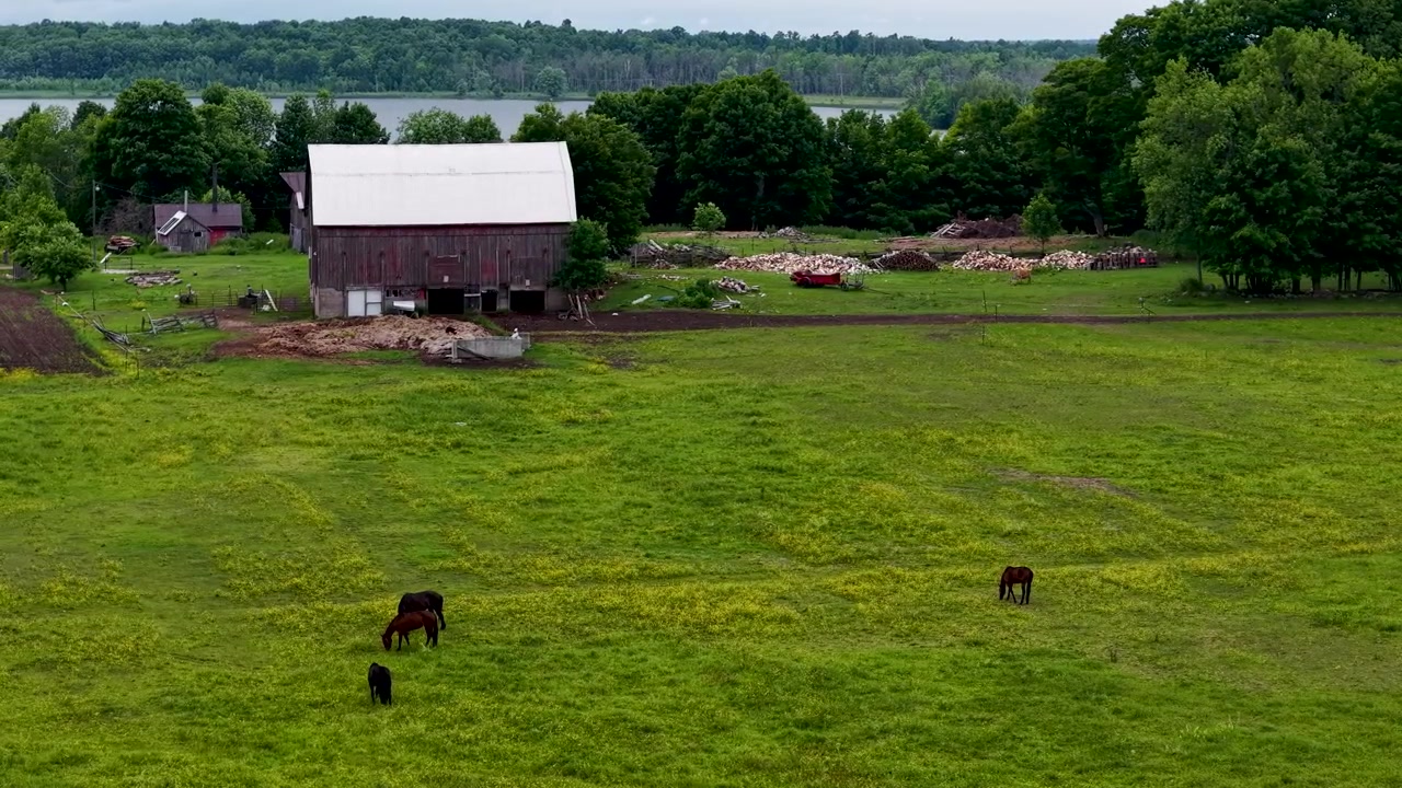 Una suggestiva ripresa con drone attraversa isole boscose e baie turchesi lungo la costa della Georgian Bay, attraverso il paesaggio settentrionale di acqua dolce