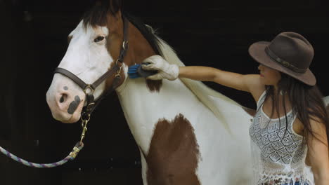 confident young rider grooms her pinto horse with a brush in a barn