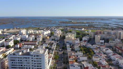 aerial view of a coastal portuguese town