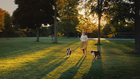 Herbstspaziergang-Im-Park-Mit-Zwei-Haustieren-Frau,-Die-Mit-Ihren-Hunden-Spazieren-Geht