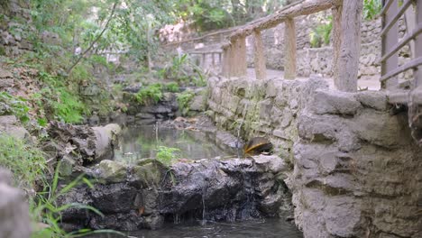 Kleiner-Fluss,-Der-Durch-Den-Park-Fließt