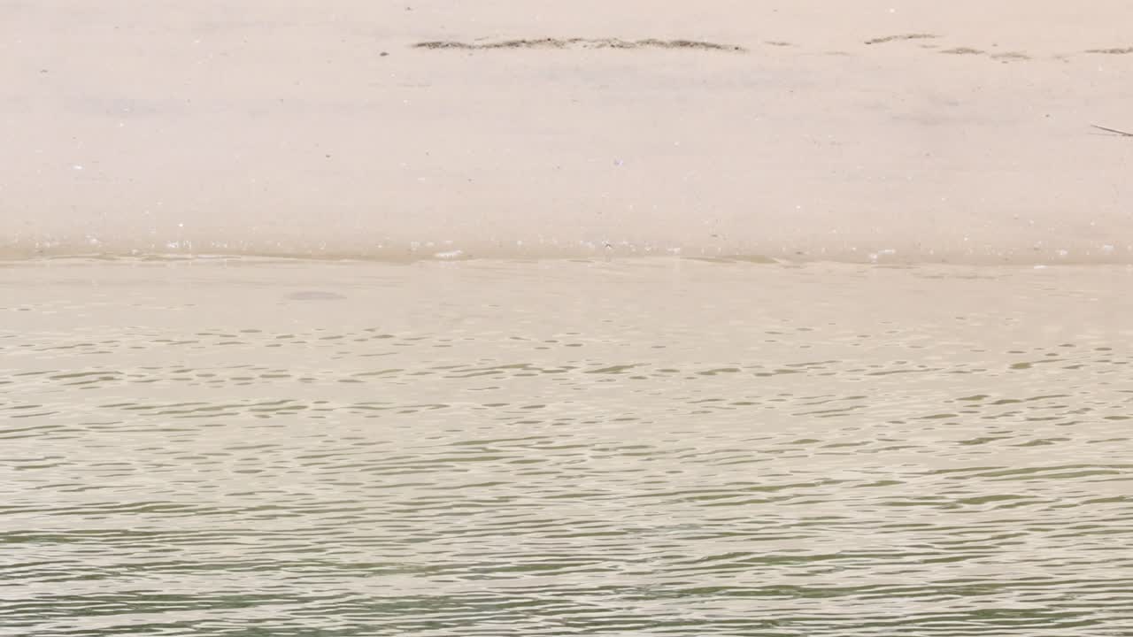 조용한 물 표면을 가로질러 움직이는 부드러운 파동