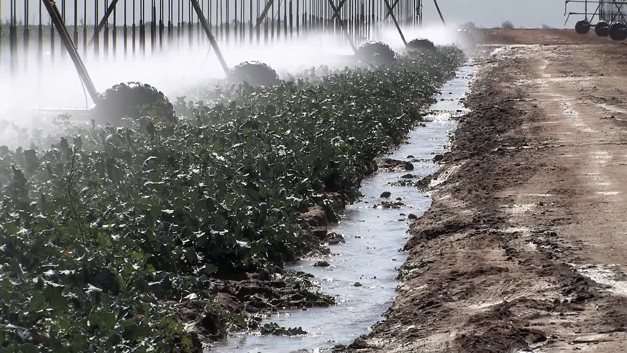 센터 피벗 관개 캘리포니아, 미국