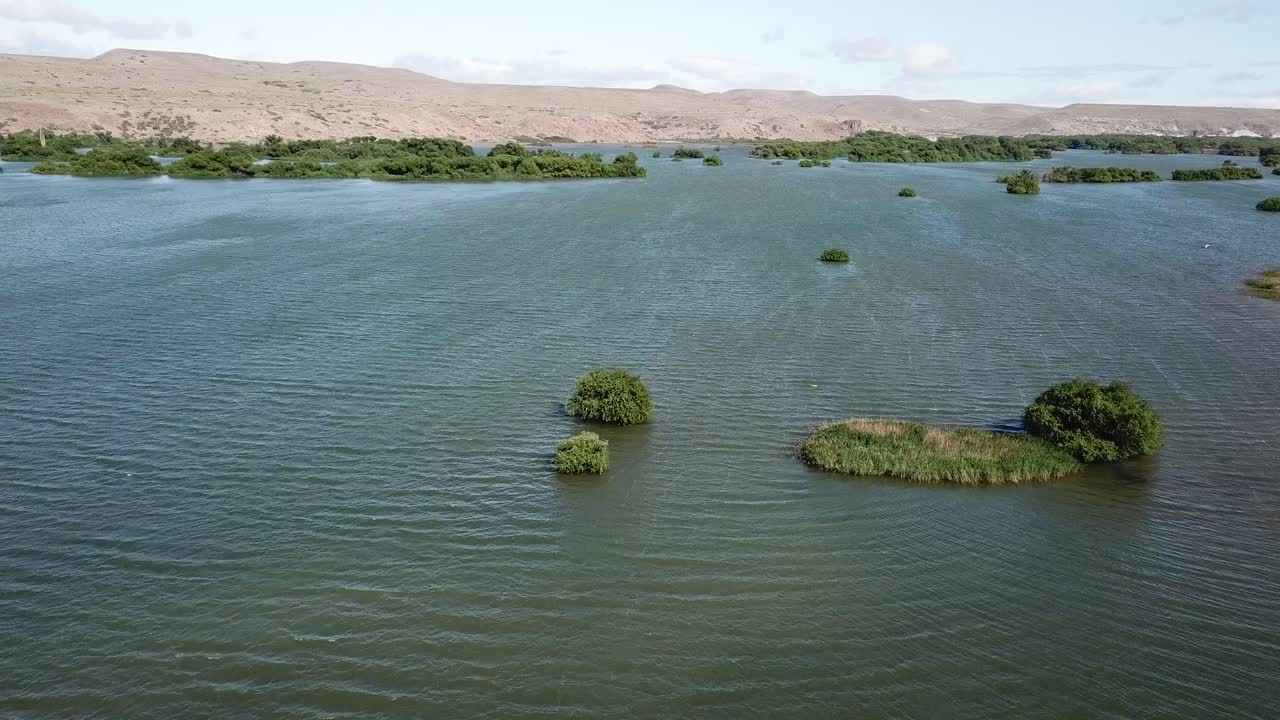 Green Lake and Vegetation Under Dry Hills in Patagonian Desert, Argentina, Drone Aerial View