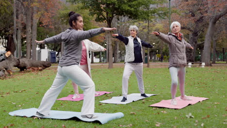 Trainer,-park-and-old-women-stretching