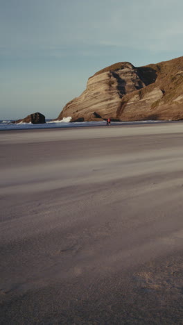 windswept beach scene with coastal cliffs