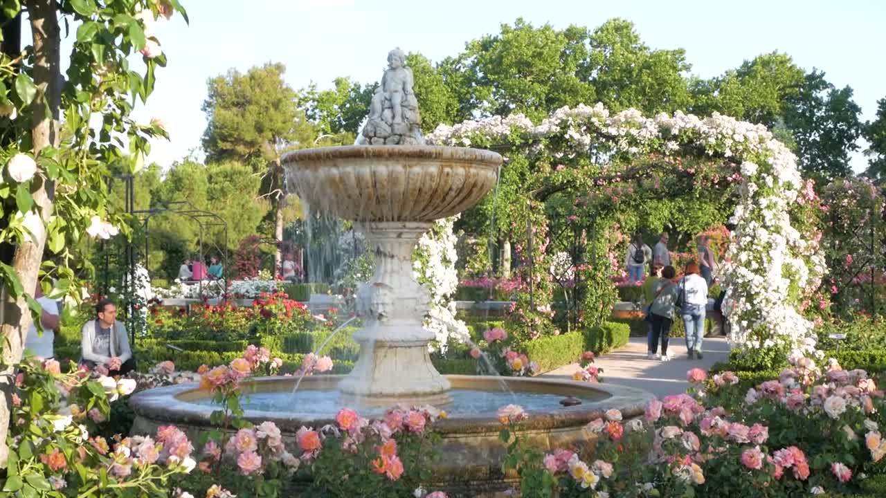 Colourful rose garden view on Cupid fountain with a small pond at Rosaleda, rose garden, Madrid. Serene and picturesque garden scene.