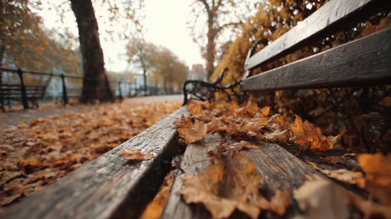 A Serene Autumn Scene Captured in Two Frames: A Park Bench Adorned with Fallen Leaves, Surrounded by Nature's Golden Fall Palette and Lush Foliage