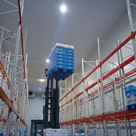 production processes at poultry farm. processes for the production of meat at farm