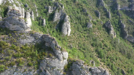 Vultures-landing-on-a-rock-gorges-du-Tarn-France-aerial-shot-rocky-landscape