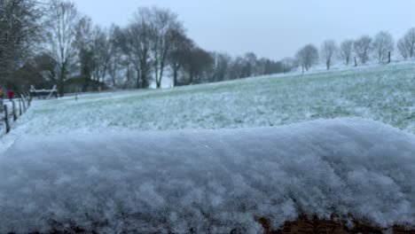 Slow-pedestal-shot-of-snow-covered-wood-and-beautiful-snowy-winter-landscape-in-background