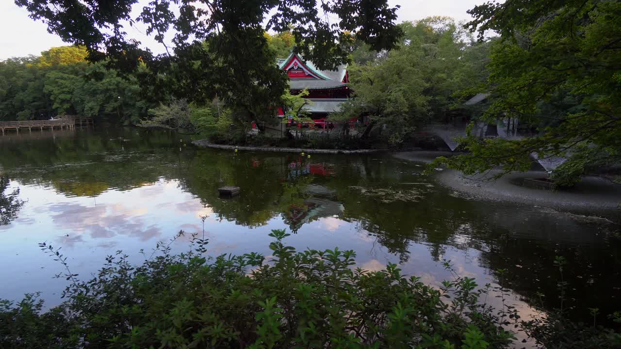en el parque kichijoji, en tokio, hay un hermoso templo sinto que está rodeado de naturaleza intensa y un gran lago que refleja su figura