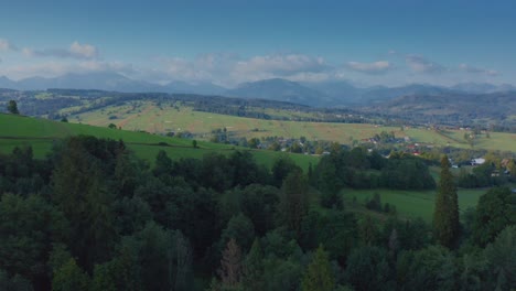 dense thicket over mountains with remote settlements near dzianisz, podhale region, poland