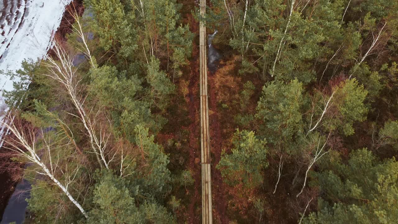 Aerial dolly out revealing a long, narrow path of wooden planks through the interior of a forest