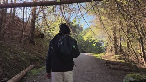 a man hiking in the forest in autumn