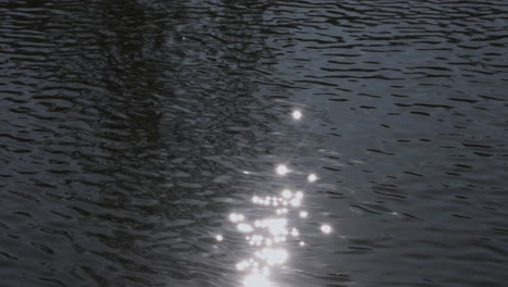 lake in the nature