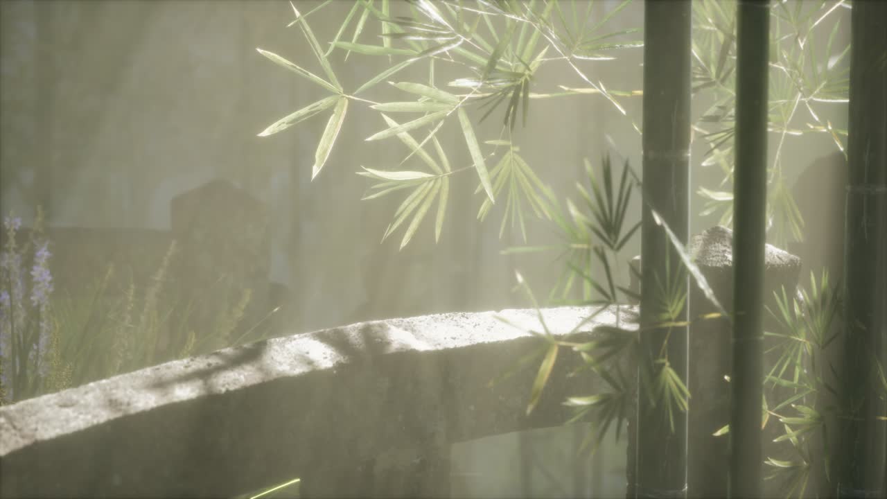 일본 대나무 숲 과 녹색 초원 잔디 와 자연 빛