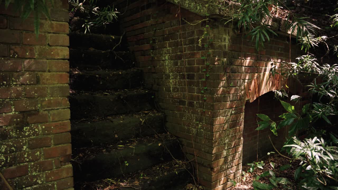 Overgrown Ruins of Fort on Tomogashima Island, Japan