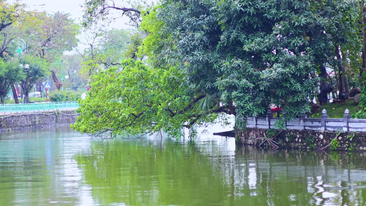 울창 한 초록색 으로 둘러싸인 조용 한 연못