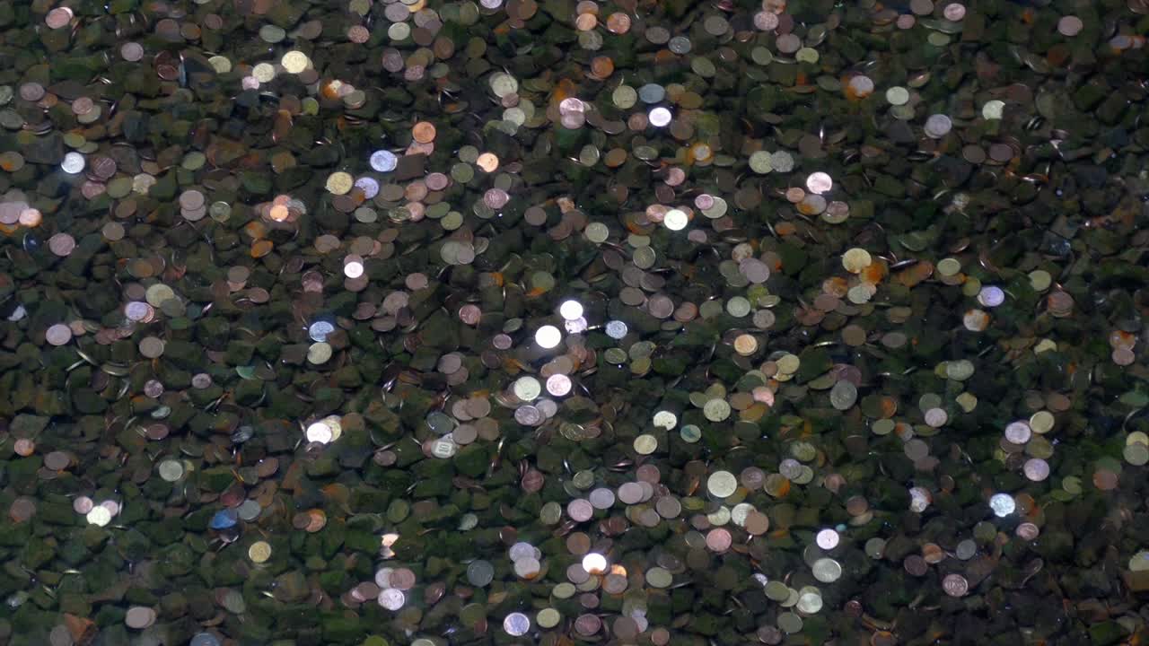 Coins in the pond bottom.