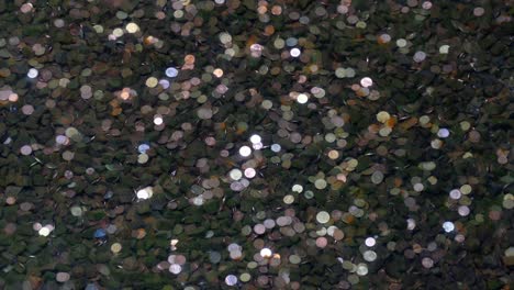 coins in the pond bottom.