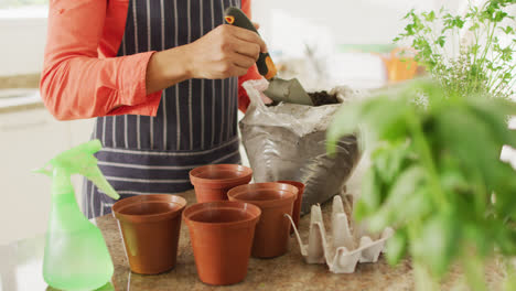 Video-of-midsection-of-biracial-woman-planting-houseplants