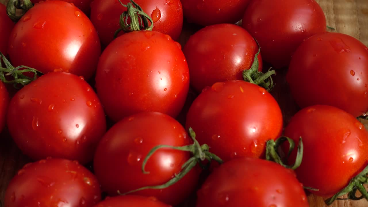 체리의 토마토는 움직임에서 총을 습니다.