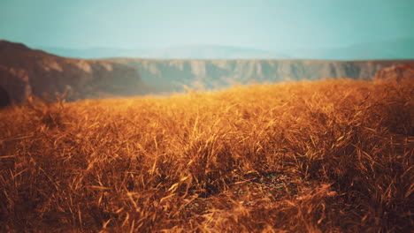 golden rocks and grass in mountains