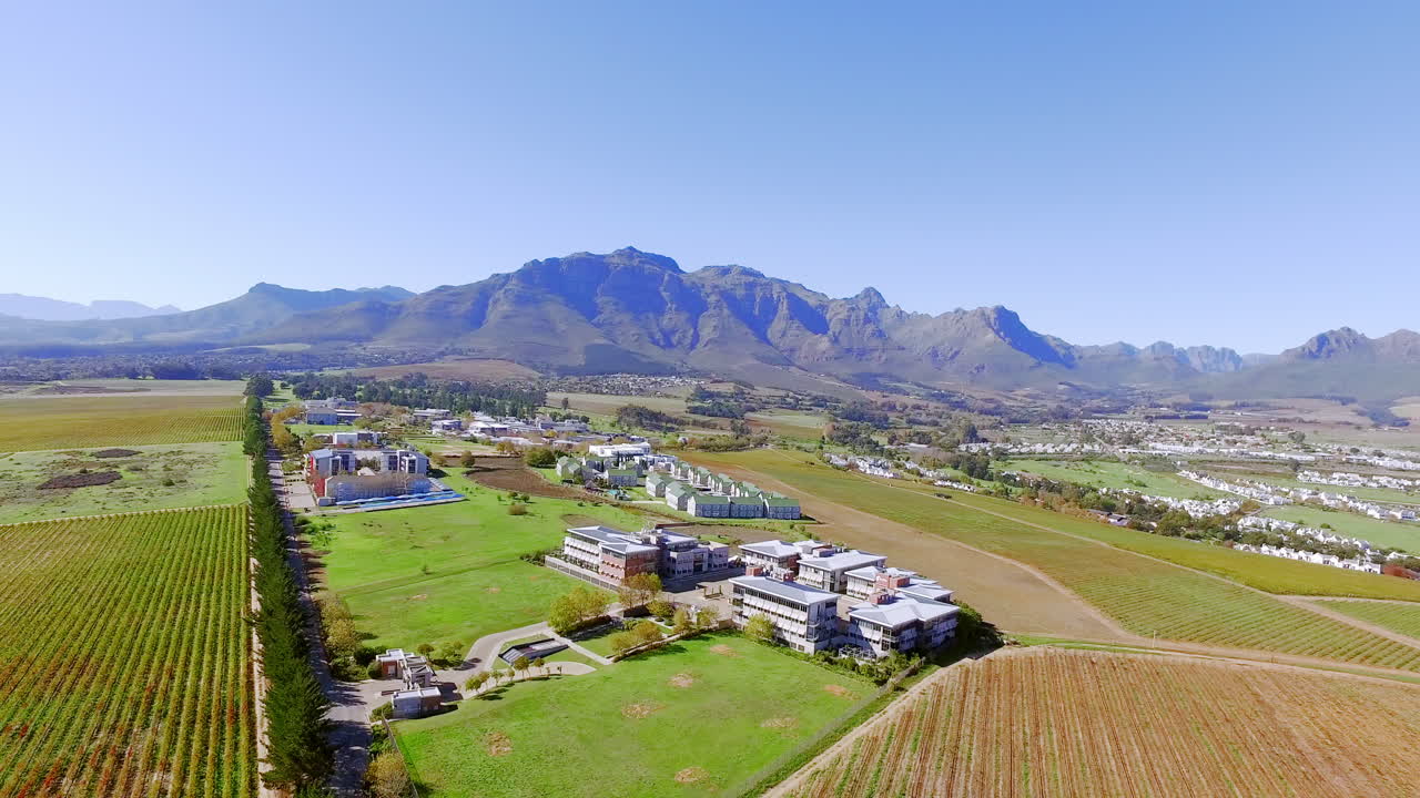 부지를 돌아다니죠.