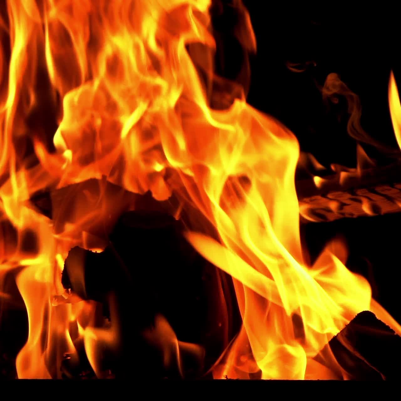 Bright burning wood slow motion. Fire flame. Bonfire