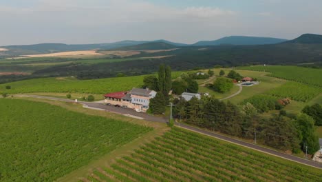 luxury resort accommodation surrounded by vineyards in the hills in hungary - aerial drone