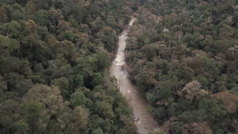 Jungle-and-river,-a-perfect-combination-of-nature-in-South-America