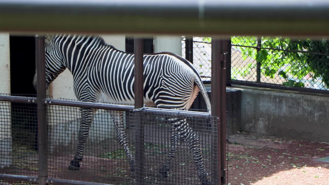 요코하마 최고의 전망