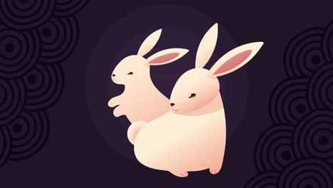 two cute rabbits