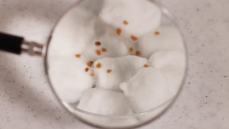 A magnifying glass observes seeds on cotton wool in a laboratory setting, highlighting scientific examination and observation