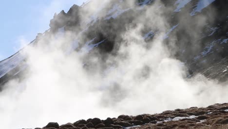 a cloud of steam rising from geothermic activity