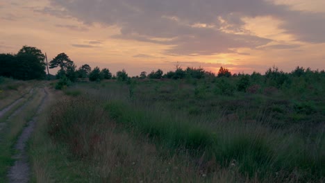 sunset over a heath field