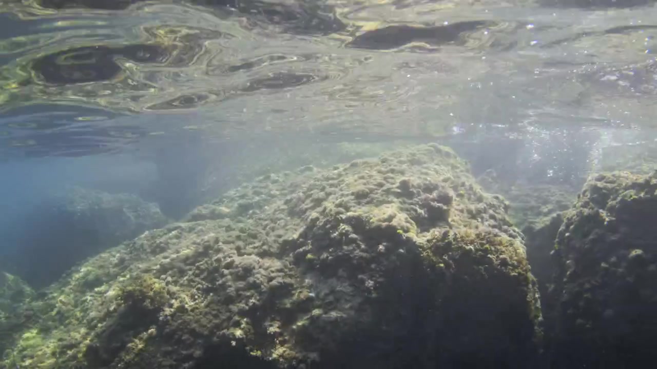 Onderwaterzicht van een rivierbedding met ingewikkelde rotsen bedekt met algen, opstijgende luchtbellen en een rimpelende oppervlaktereﬂectie.