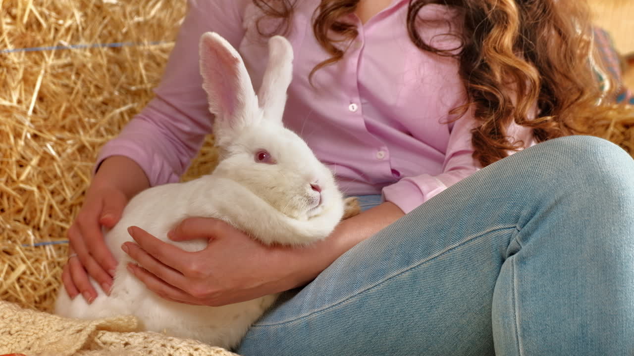 Woman petting a white bunny in the barn near square hay bales, in daylight