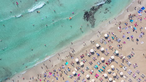 Toma-Aérea-En-Espiral-Descendente-De-Una-Concurrida-Playa-De-Arena.