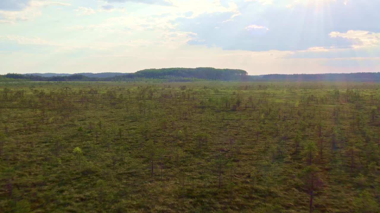 volando sobre un pantano con sol y un bosque en el fondo