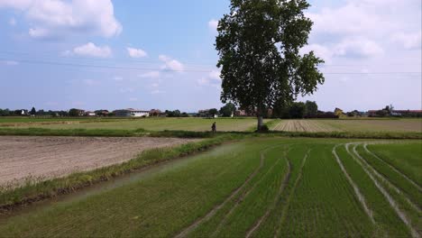 agricultural-scenic-landscape-with-isolated-farmer-walking-between-field