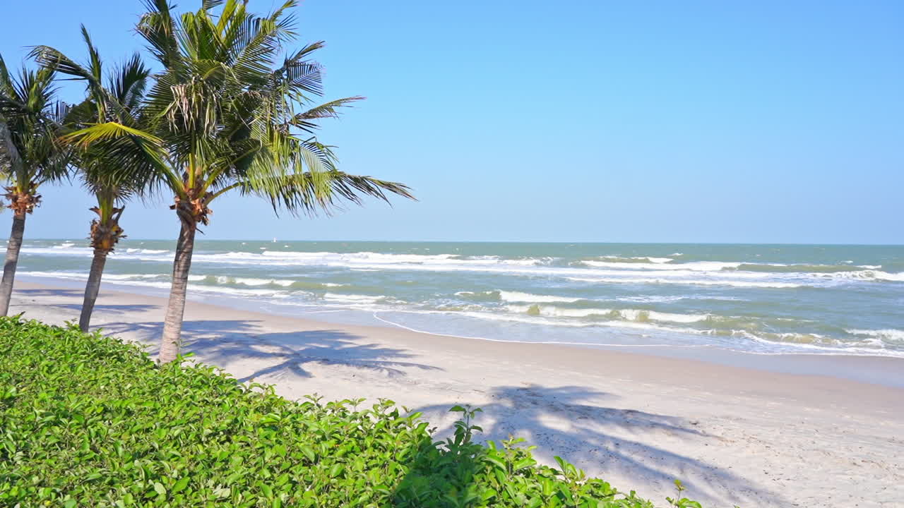 costa de la isla tropical en un día ventoso, olas rompiendo en una playa de arena blanca con cocoteros