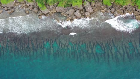 Toma-Aérea-De-Arriba-Hacia-Abajo-Del-Pedestal-Que-Captura-El-Arrecife-Bordeante-De-Houshi-Y-El-Hermoso-Agua-De-Mar-Turquesa-Con-Olas-Rompiendo-En-La-Costa-En-La-Cueva-De-Enanos-Negros-En-La-Isla-De-Xiaoliuqiu-Lambai,-Taiwán