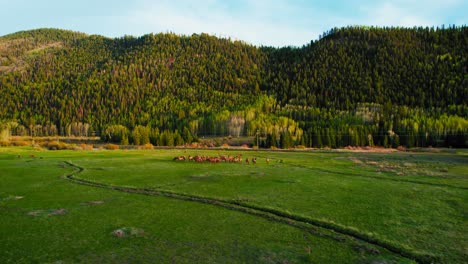 Tellurid-Colorado-USA