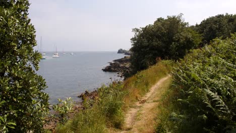 Wide-shot-of-coastal-path-with-foliage-on-the-island-of-St-Agnes-at-the-Isles-of-Scilly