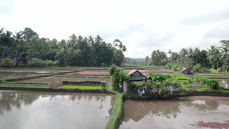 Casa-De-Campo-En-Medio-De-Campos-De-Arroz-En-Bali,-Indonesia