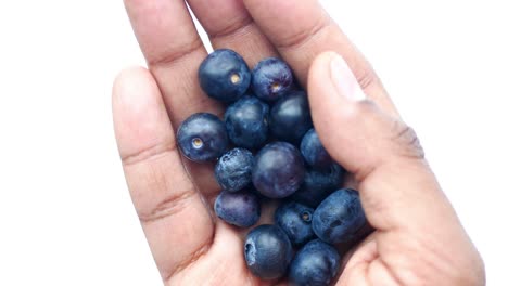 Close-up-of-fresh-blue-berry-on-hand