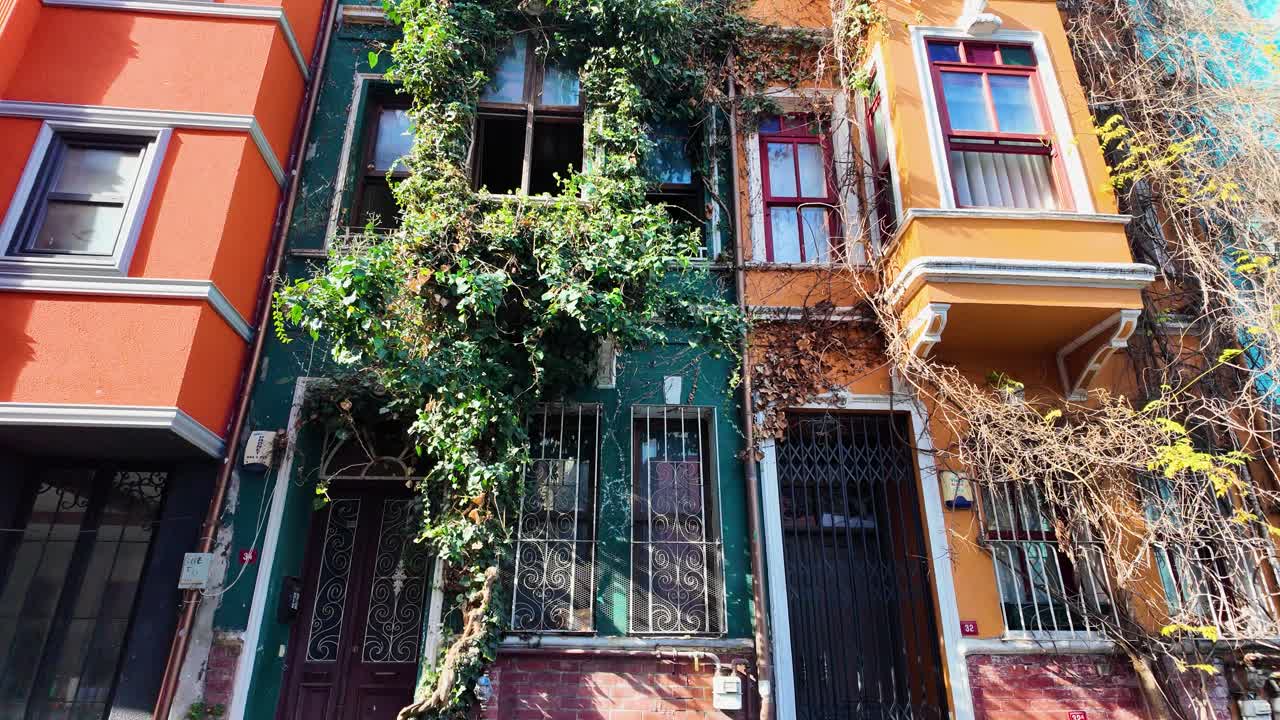 Colorful Balat facade with climbing ivy in Istanbul