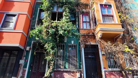 colorful balat facade with climbing ivy in istanbul